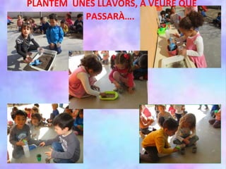 PLANTEM UNES LLAVORS, A VEURE QUE
PASSARÀ….
 