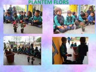PLANTEM FLORS
 