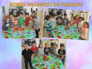 Classe peix irisat segon trimestre