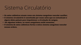Sistema Circulatório
Os seios celômicos atuam como um sistema sanguíneo vascular auxiliar;
O sistema circulatório é constituído por esses seios que se comunicam e
alguns deles pulsam para impulsionar a circulação do sangue.
Em algumas ordens, os vasos sanguíneos estão ausentes;
O sistema de seios celômicos forma o único sistema sanguíneo vascular
nessas ordens.
 