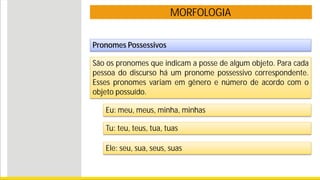 MORFOLOGIA
Pronomes Possessivos
São os pronomes que indicam a posse de algum objeto. Para cada
pessoa do discurso há um pronome possessivo correspondente.
Esses pronomes variam em gênero e número de acordo com o
objeto possuído.
Eu: meu, meus, minha, minhas
Tu: teu, teus, tua, tuas
Ele: seu, sua, seus, suas
 