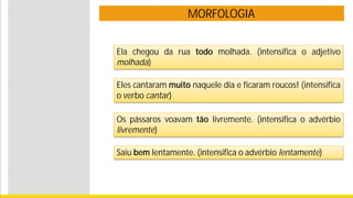MORFOLOGIA
Ela chegou da rua todo molhada. (intensifica o adjetivo
molhada)
Eles cantaram muito naquele dia e ficaram roucos! (intensifica
o verbo cantar)
Os pássaros voavam tão livremente. (intensifica o advérbio
livremente)
Saiu bem lentamente. (intensifica o advérbio lentamente)
 