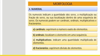 MORFOLOGIA
4. NUMERAL
Os numerais indicam a quantidade dos seres, a multiplicação ou
fração de seres, ou sua localização dentro de uma sequência de
seres. Os numerais podem ser cardinais, ordinais, multiplicativos e
fracionários.
a) cardinais: exprimem o número exato de elementos.
b) ordinais: localizam o elemento em uma sequência.
c) multiplicativos: indicam uma quantidade multiplicada de
elementos.
d) fracionários: exprimem divisão de elementos.
 