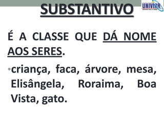 SUBSTANTIVO
É A CLASSE QUE DÁ NOME
AOS SERES.
•criança, faca, árvore, mesa,
Elisângela, Roraima, Boa
Vista, gato.
 