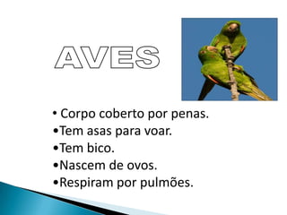 Nascem do ventre da mãe.