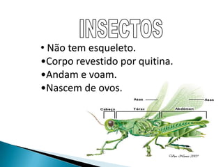 Alimentam-se do leite em pequenos.