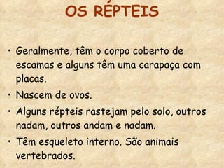 OS RÉPTEIS Geralmente, têm o corpo coberto de escamas e alguns têm uma carapaça com placas. Nascem de ovos. Alguns répteis rastejam pelo solo, outros nadam, outros andam e nadam. Têm esqueleto interno. São animais vertebrados. 