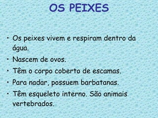 OS PEIXES Os peixes vivem e respiram dentro da água. Nascem de ovos. Têm o corpo coberto de escamas. Para nadar, possuem barbatanas. Têm esqueleto interno. São animais vertebrados. 