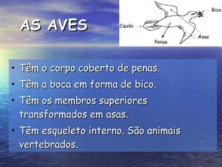 AS AVES Têm o corpo coberto de penas. Têm a boca em forma de bico. Têm os membros superiores transformados em asas. Têm esqueleto interno. São animais vertebrados. 