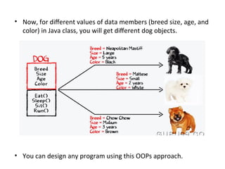 • Now, for different values of data members (breed size, age, and
color) in Java class, you will get different dog objects.
• You can design any program using this OOPs approach.
 