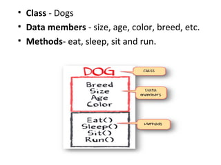 • Class - Dogs
• Data members - size, age, color, breed, etc.
• Methods- eat, sleep, sit and run.
 