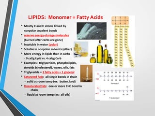 LIPIDS: Monomer = Fatty Acids
* Mostly C and H atoms linked by
nonpolar covalent bonds
* reserve energy-storage molecules
(burned after carbs are gone)
* Insoluble in water (polar)
* Soluble in nonpolar solvents (ether)
* More energy in lipids than in carbs
- 9 cal/g Lipid vs. 4 cal/g Carb
* Examples: triglycerides, phospholipids,
steroids (cholesterol), waxes, oils, fats
* Triglyceride = 3 fatty acids + 1 glycerol
* Saturated Fats: all single bonds in chain
- solid at room temp (ex: butter, lard)
* Unsaturated fats: one or more C=C bond in
chain
- liquid at room temp (ex: all oils)
 