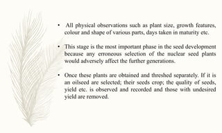• All physical observations such as plant size, growth features,
colour and shape of various parts, days taken in maturity etc.
• This stage is the most important phase in the seed development
because any erroneous selection of the nuclear seed plants
would adversely affect the further generations.
• Once these plants are obtained and threshed separately. If it is
an oilseed are selected; their seeds crop; the quality of seeds,
yield etc. is observed and recorded and those with undesired
yield are removed.
 
