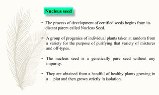 Classes of seeds
