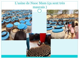 L’usine de Nuoc Mam (ça sent très
mauvais )
 