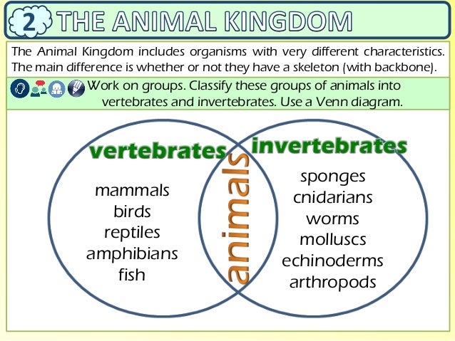 class explanation the classification of living things venn diagram explanation