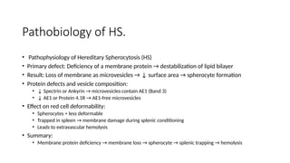 Comprehensive Overview of Hemolytic Anemia: Diagnosis and Management | PPTX
