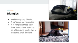 triangles
● Besides my furry friends
● A cat’s ears are rectangles
● A rectangle is made up of
three sides, these sides can
be all the same length, two of
the same, or all different.
 