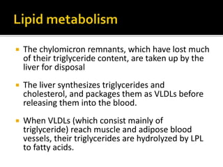  The chylomicron remnants, which have lost much
of their triglyceride content, are taken up by the
liver for disposal
 The liver synthesizes triglycerides and
cholesterol, and packages them as VLDLs before
releasing them into the blood.
 When VLDLs (which consist mainly of
triglyceride) reach muscle and adipose blood
vessels, their triglycerides are hydrolyzed by LPL
to fatty acids.
 