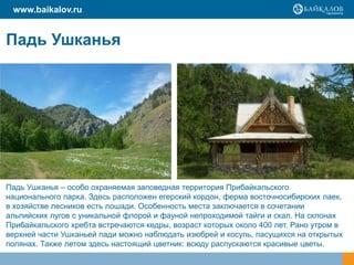 Падь Ушканья
Падь Ушканья – особо охраняемая заповедная территория Прибайкальского
национального парка. Здесь расположен егерский кордон, ферма восточносибирских лаек,
в хозяйстве лесников есть лошади. Особенность места заключается в сочетании
альпийских лугов с уникальной флорой и фауной непроходимой тайги и скал. На склонах
Прибайкальского хребта встречаются кедры, возраст которых около 400 лет. Рано утром в
верхней части Ушканьей пади можно наблюдать изюбрей и косуль, пасущихся на открытых
полянах. Также летом здесь настоящий цветник: всюду распускаются красивые цветы.
www.baikalov.ru
 