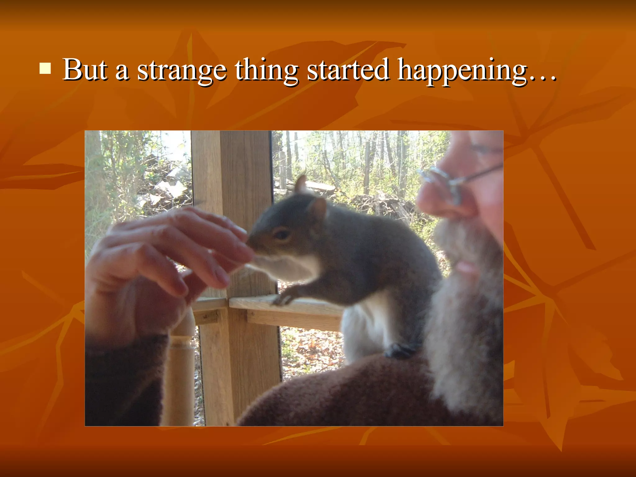 But a strange thing started happening… 