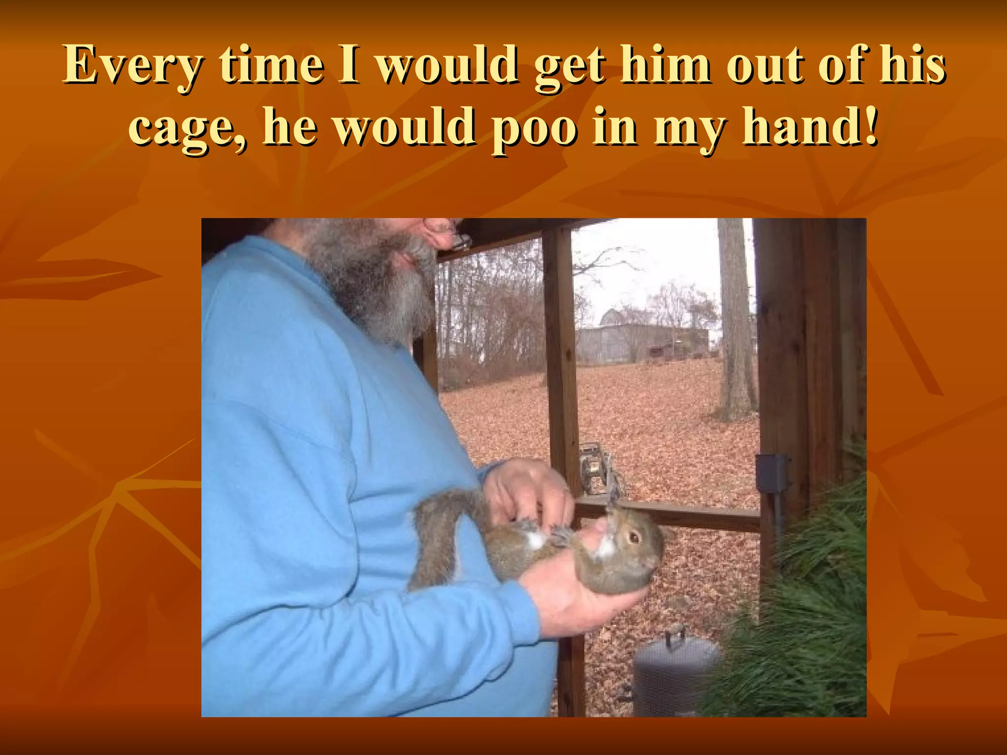 Every time I would get him out of his cage, he would poo in my hand! 