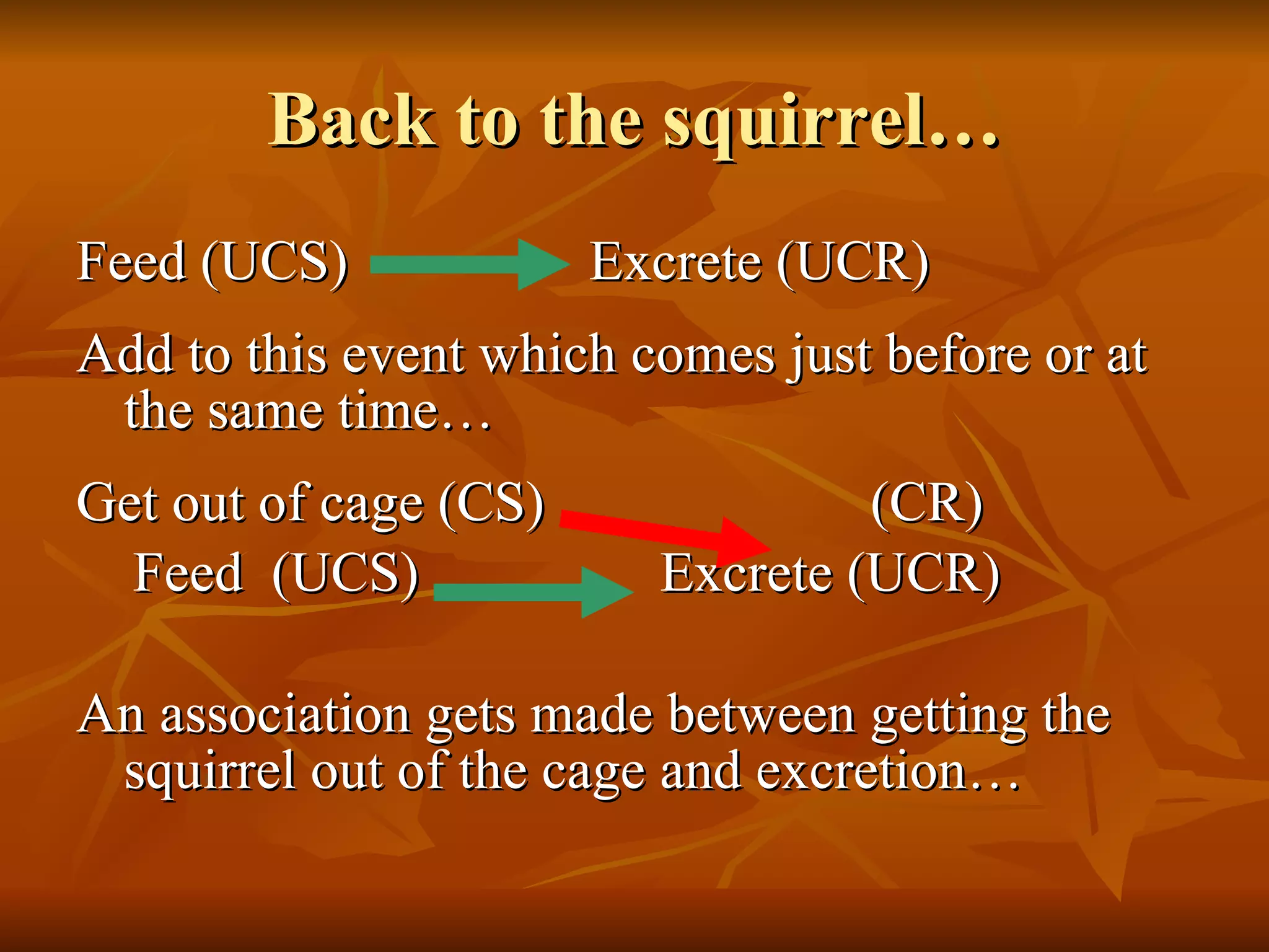 Back to the squirrel… Feed (UCS)  Excrete (UCR) Add to this event which comes just before or at the same time… Get out of cage (CS)  (CR) Feed  (UCS)  Excrete (UCR) An association gets made between getting the squirrel out of the cage and excretion… 