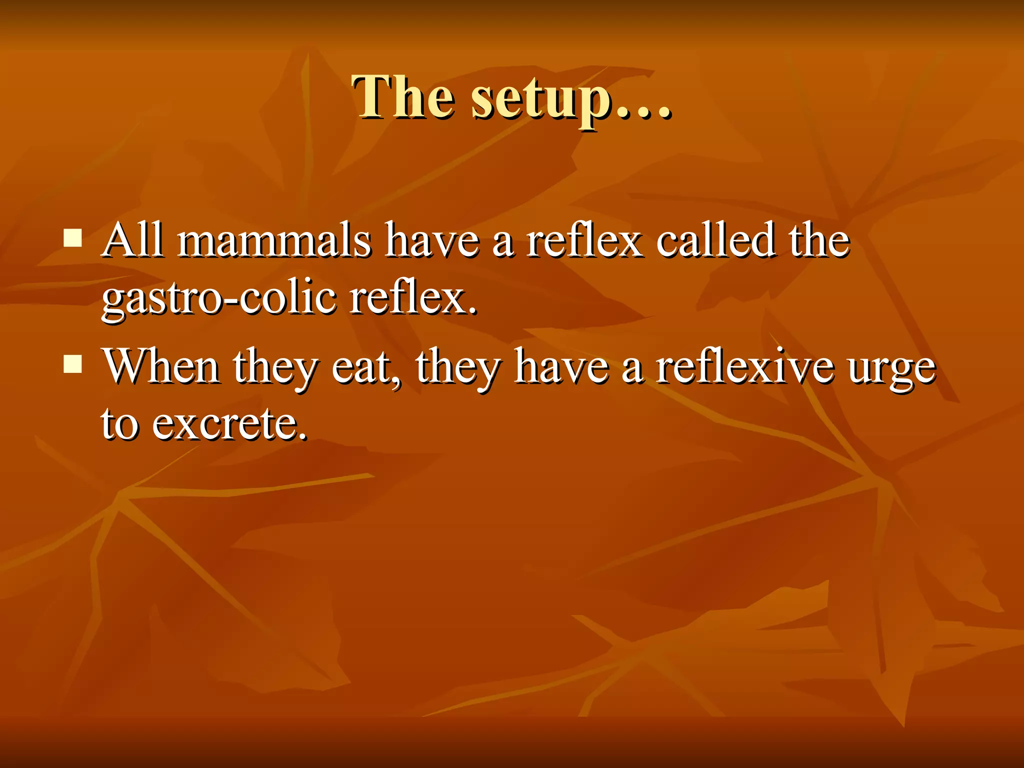 The setup… All mammals have a reflex called the gastro-colic reflex. When they eat, they have a reflexive urge to excrete. 