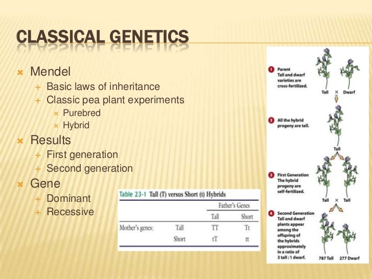 Classical and modern genetics