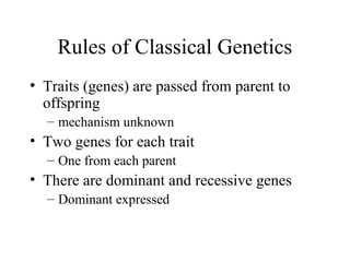 Classical and modern genetics | PPT