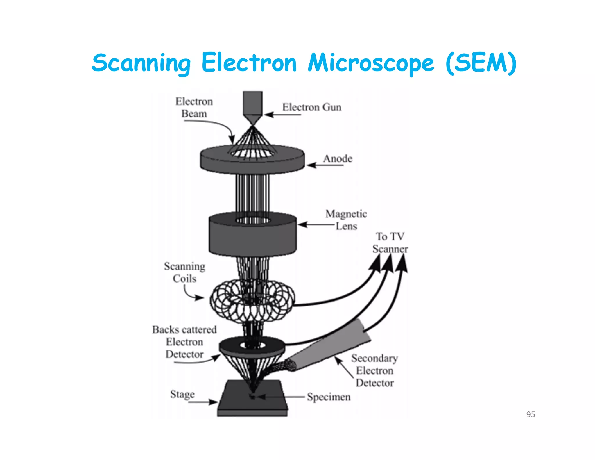 Scanning Electron Microscope (SEM)
95
 