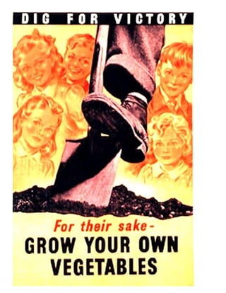 Classical Art Gardening Posters