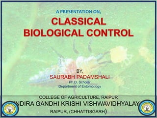 COLLEGE OF AGRICULTURE, RAIPUR
INDIRA GANDHI KRISHI VISHWAVIDHYALAYA
RAIPUR, (CHHATTISGARH)
BY,
SAURABH PADAMSHALI
Ph.D. Scholar
Department of Entomo,logy
A PRESENTATION ON,
 