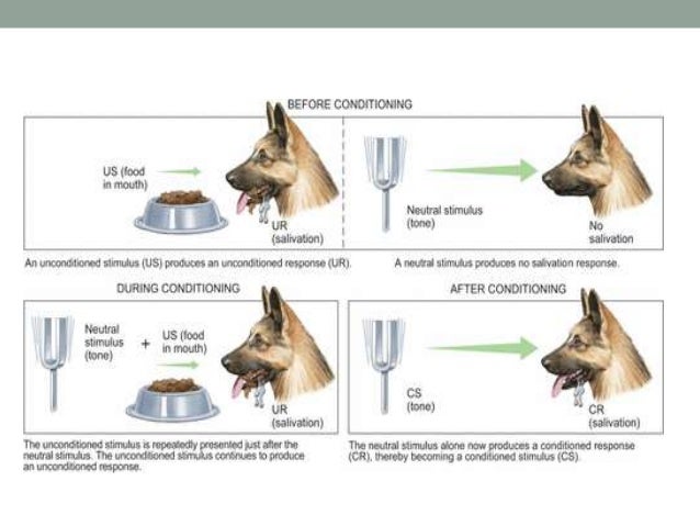Classical conditioning