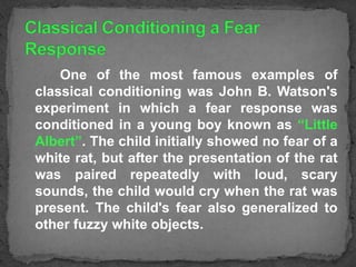 One of the most famous examples of
classical conditioning was John B. Watson's
experiment in which a fear response was
conditioned in a young boy known as “Little
Albert”. The child initially showed no fear of a
white rat, but after the presentation of the rat
was paired repeatedly with loud, scary
sounds, the child would cry when the rat was
present. The child's fear also generalized to
other fuzzy white objects.

 