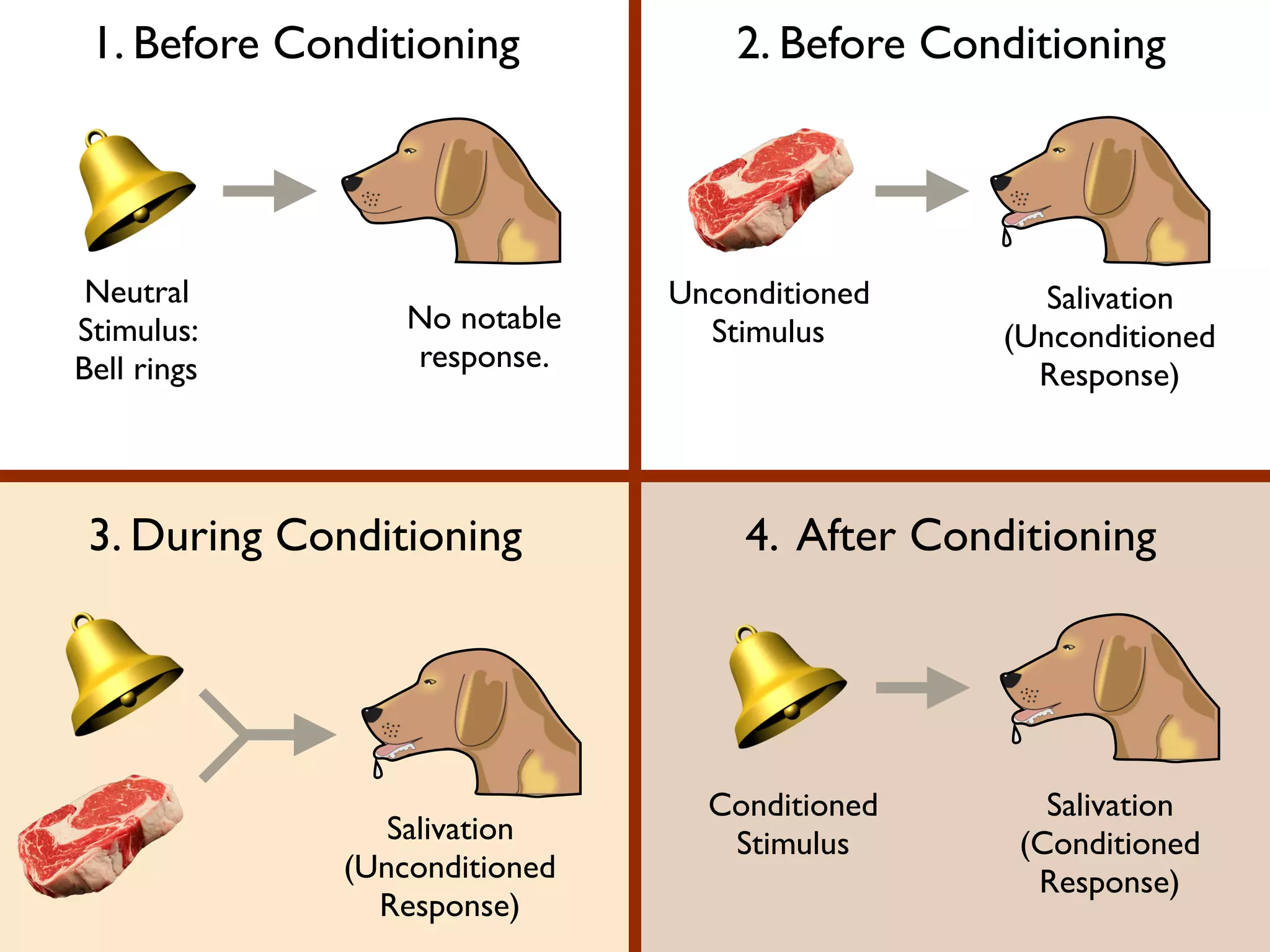 Classical Conditioning
Do you think you have been classically conditioned
to respond to anything in a certain way?
If I hear the sound of an alarm
clock, my body becomes tense
and my mood becomes unhappy.
It’s not really the alarm that I
hate…it’s waking up!
 