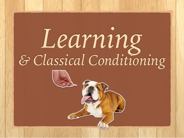 Classical Conditioning Classical Conditioning