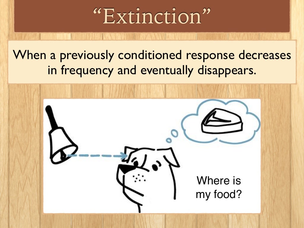 Classical Conditioning