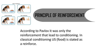 PRINCIPLE OF REINFORCEMENT
According to Pavlov it was only the
reinforcement that lead to conditioning. In
classical conditioning US (food) is stated as
a reinforce.
 