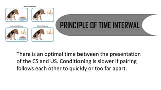 PRINCIPLE OF TIME INTERWAL
There is an optimal time between the presentation
of the CS and US. Conditioning is slower if pairing
follows each other to quickly or too far apart.
 