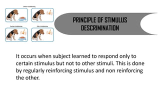 PRINCIPLE OF STIMULUS
DESCRIMINATION
It occurs when subject learned to respond only to
certain stimulus but not to other stimuli. This is done
by regularly reinforcing stimulus and non reinforcing
the other.
 
