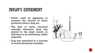  Pavlov used an apparatus to
measure the amount of saliva
produced when a dog ate.
 The flow of saliva occurred
naturally whenever food was
placed in the dog’s mouth, as
salivation is an involuntary, reflex
response.
 Dog was restrained in a harness
to avoid extraneous variables.
 