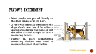 Meat powder was placed directly on
the dog’s tongue or in the bowl.
 A tube was surgically attached to the
dog’s cheek near one of the salivary
glands and a fistula was made so that
the saliva drained straight out into a
measuring device.
 Further on, more sophisticated
measuring devices were used to
measure the speed of saliva flow.
Pavlov's experiment
 