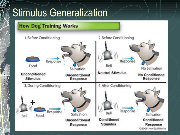 what is stimulus generalization
