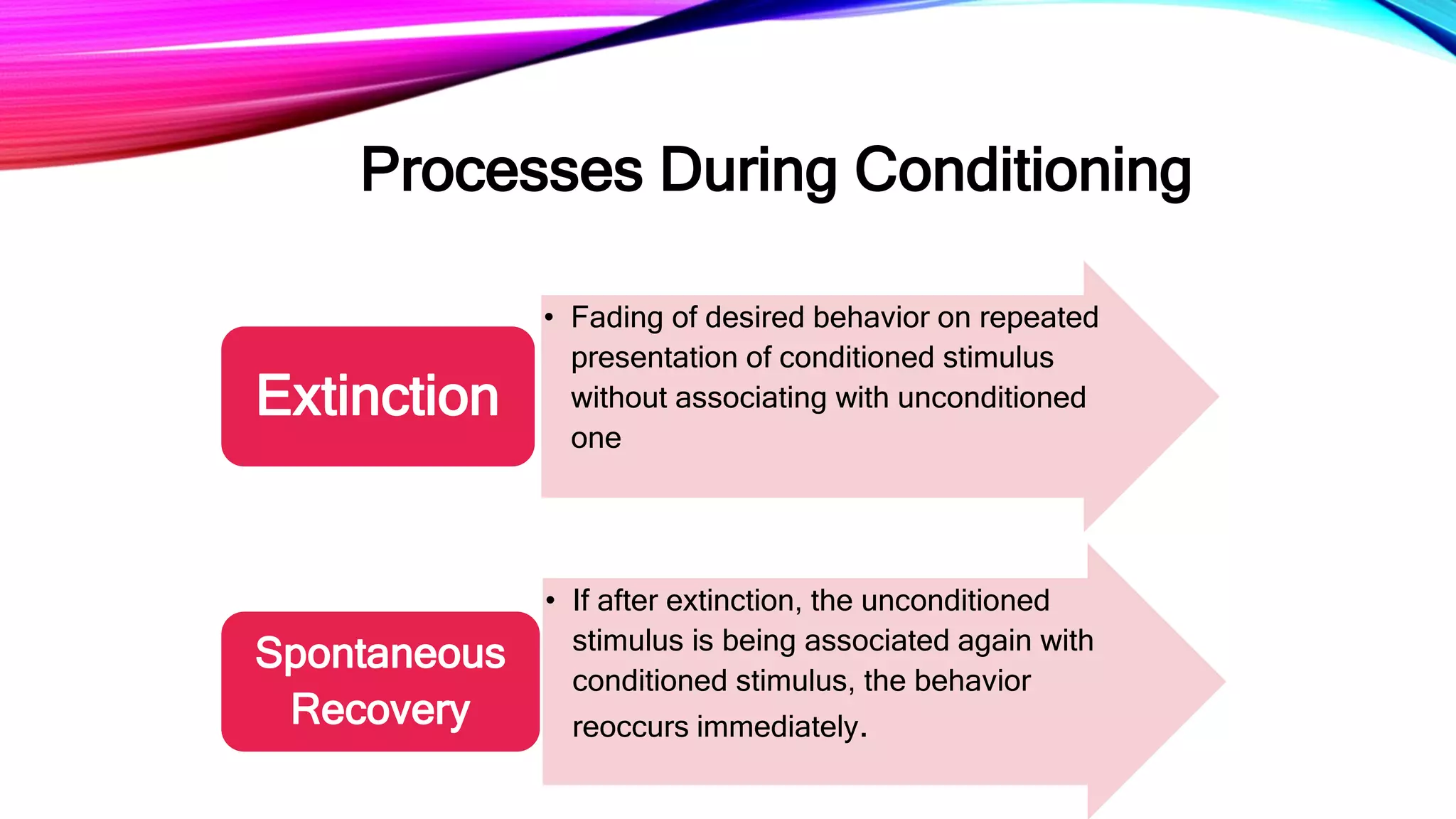 Processes During Conditioning
• Fading of desired behavior on repeated
presentation of conditioned stimulus
without associating with unconditioned
one
Extinction
• If after extinction, the unconditioned
stimulus is being associated again with
conditioned stimulus, the behavior
reoccurs immediately.
Spontaneous
Recovery
 