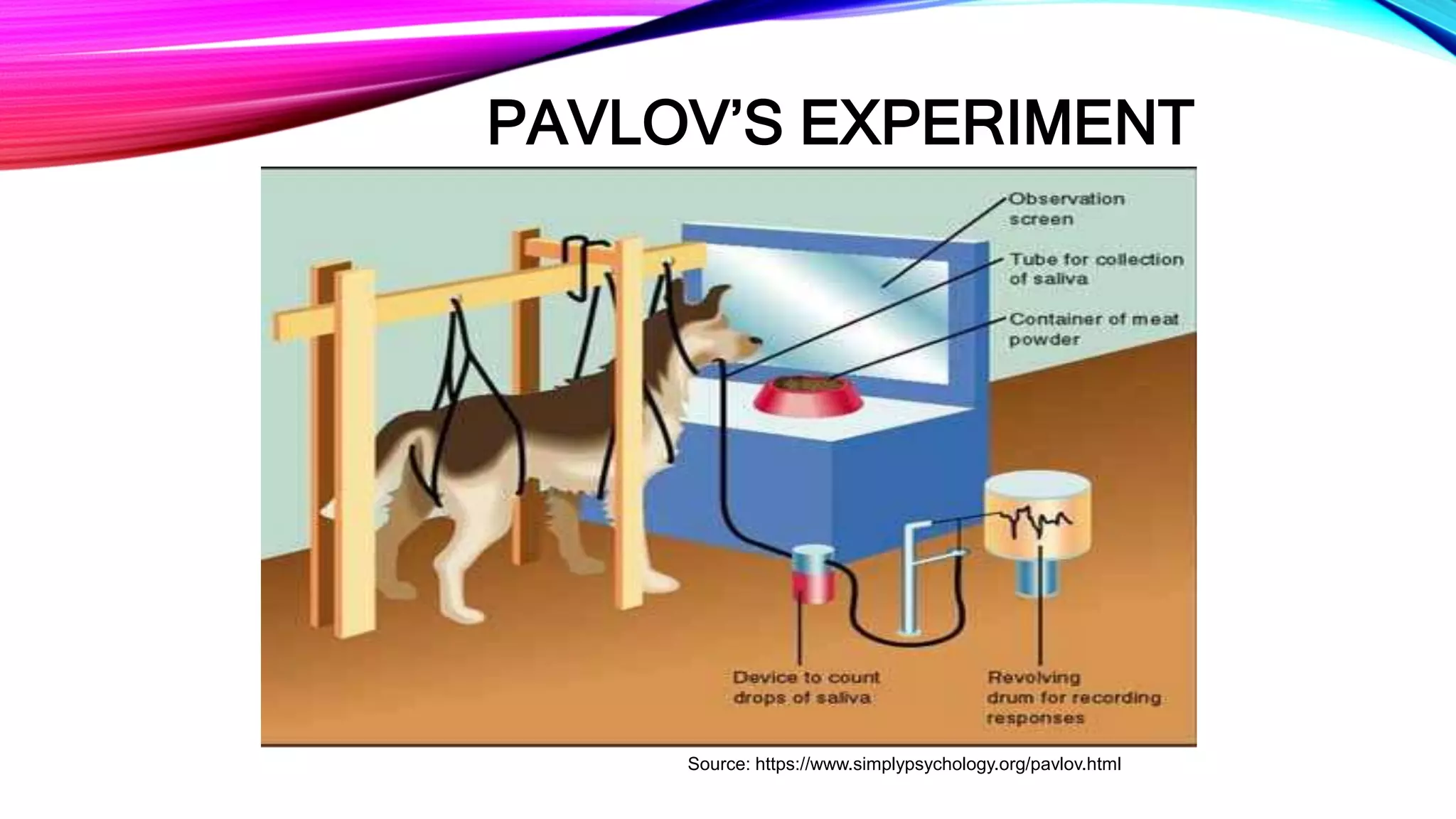 PAVLOV’S EXPERIMENT
Source: https://www.simplypsychology.org/pavlov.html
 