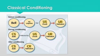 Classical Conditioning 
 