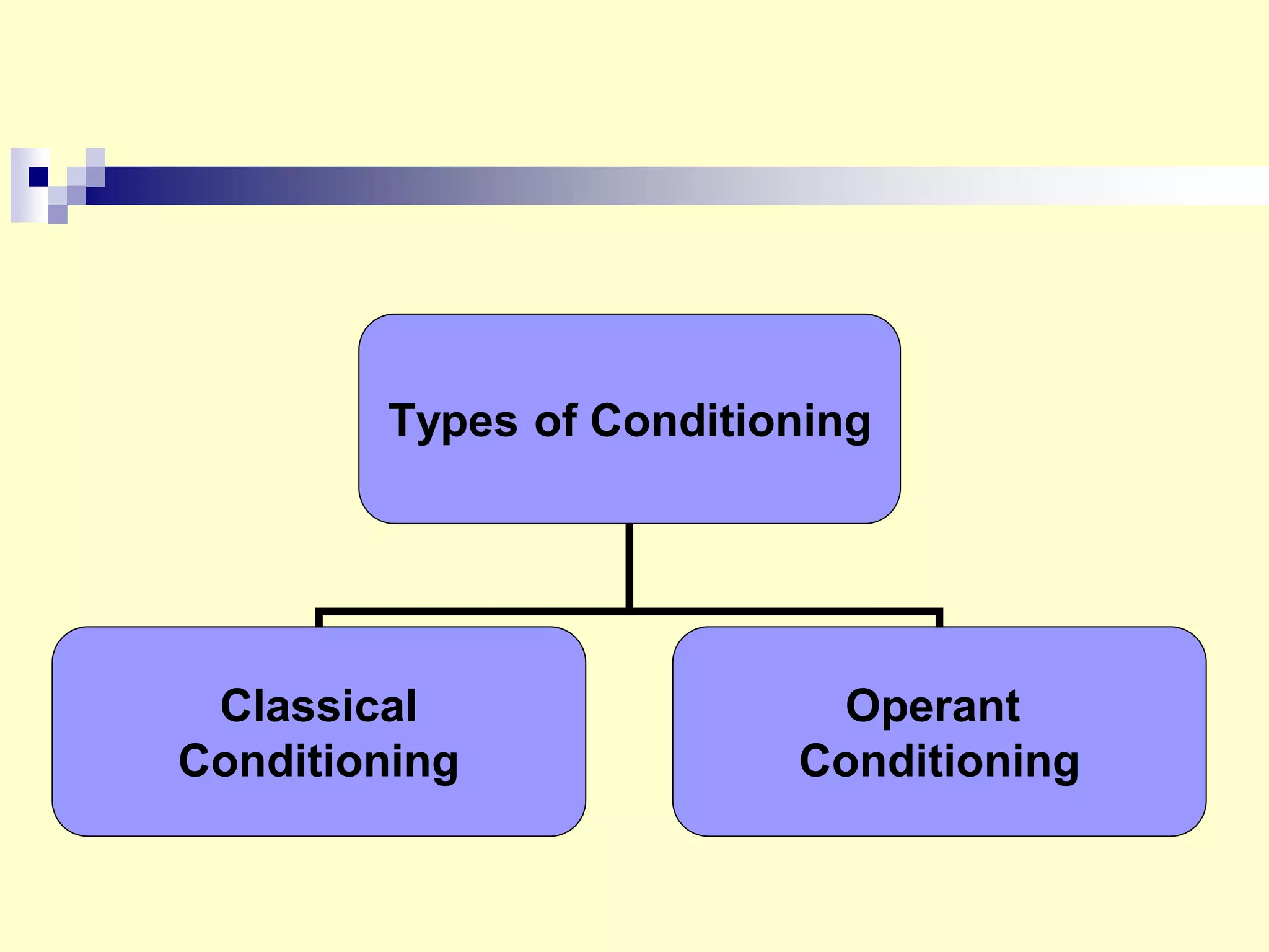 Types of Conditioning
Classical
Conditioning
Operant
Conditioning
 