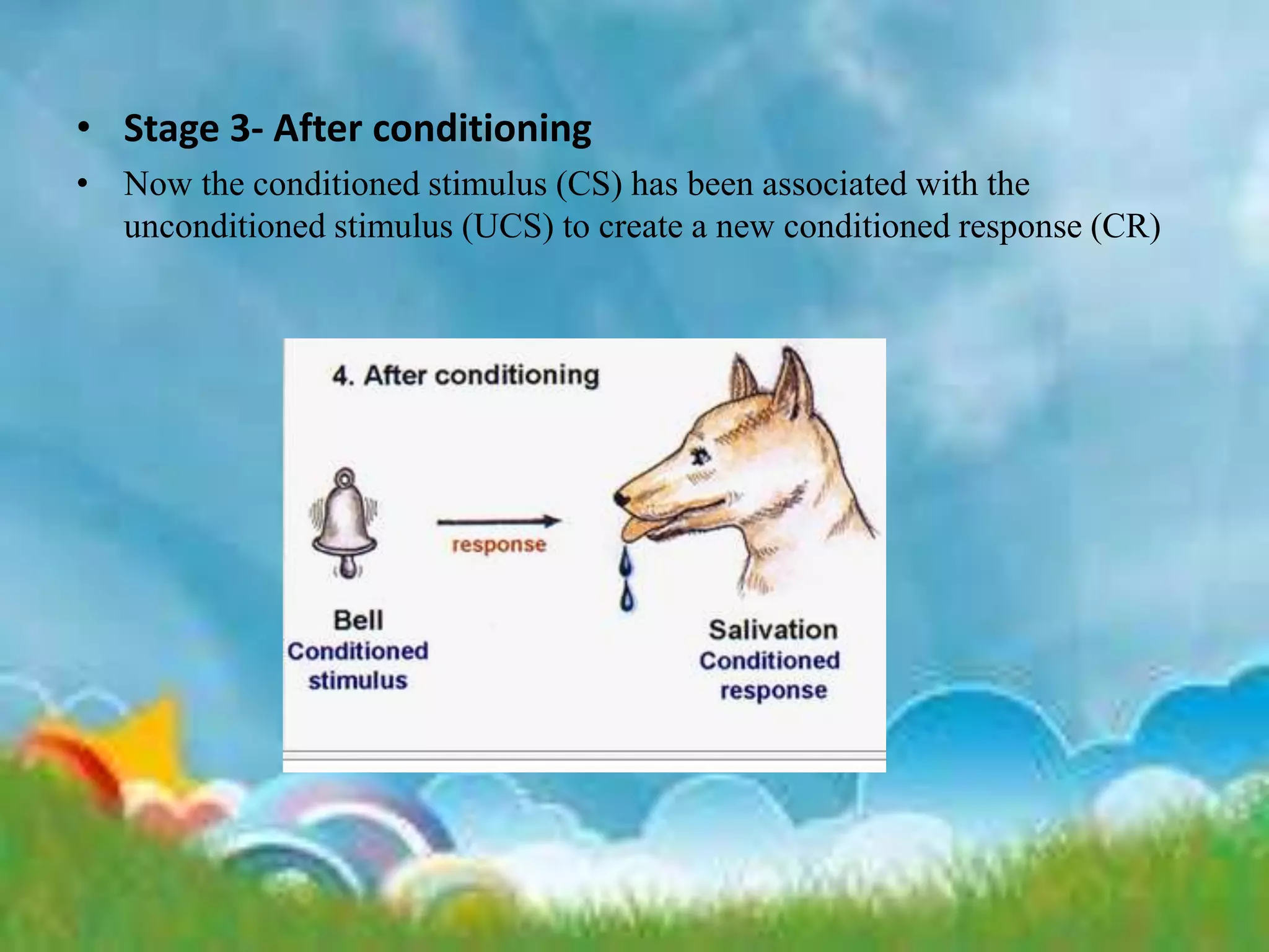 • Stage 3- After conditioning
• Now the conditioned stimulus (CS) has been associated with the
unconditioned stimulus (UCS) to create a new conditioned response (CR)
 