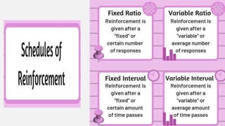 Classical conditioning vs operant conditioning (2) | PPTX